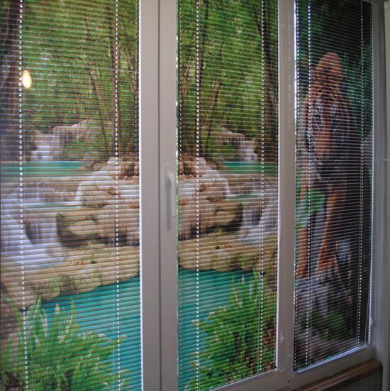 Горизонтальные жалюзи с рисунком